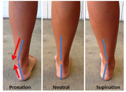 supination pied